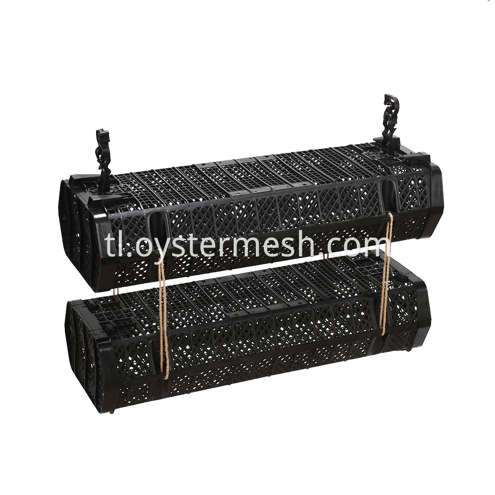 Oyster Stacking Culture (1)